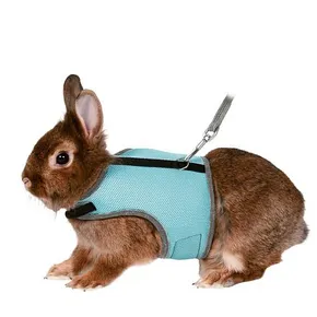 Szelki VESTA ze smyczą dla królika karłowatego 25-32cm/1,2m